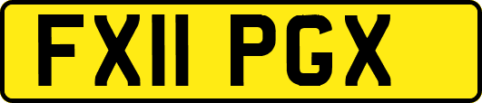 FX11PGX