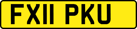 FX11PKU