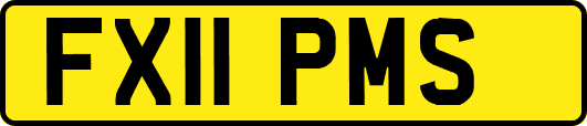 FX11PMS