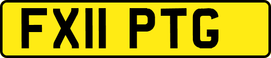 FX11PTG