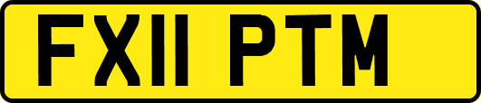 FX11PTM
