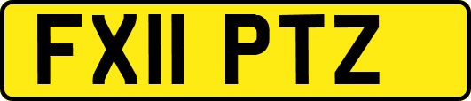 FX11PTZ