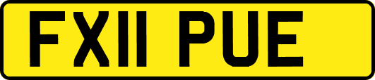 FX11PUE