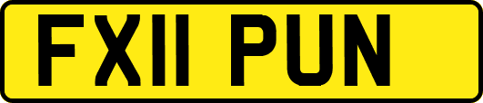 FX11PUN