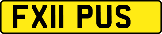 FX11PUS