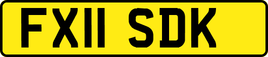 FX11SDK