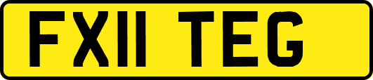 FX11TEG