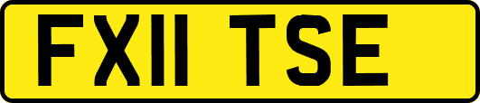 FX11TSE
