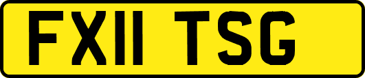 FX11TSG