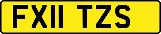FX11TZS