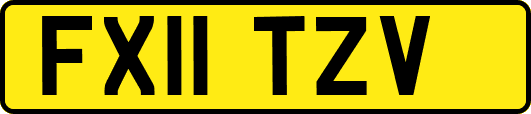 FX11TZV