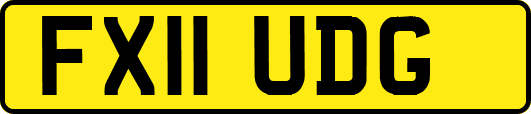 FX11UDG