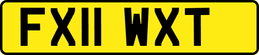 FX11WXT