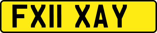FX11XAY