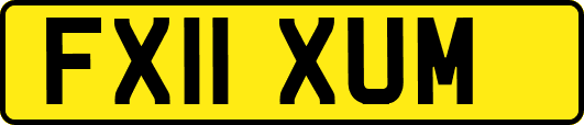 FX11XUM