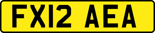 FX12AEA