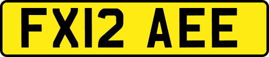 FX12AEE