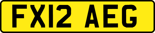 FX12AEG
