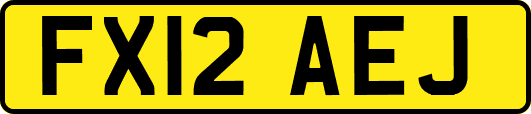 FX12AEJ