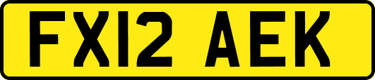 FX12AEK