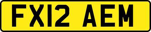 FX12AEM
