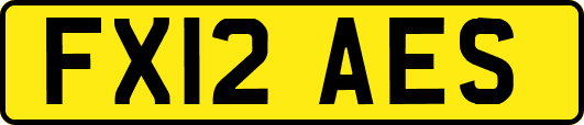 FX12AES