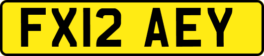 FX12AEY