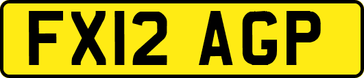 FX12AGP