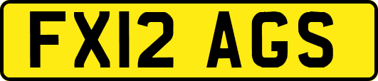 FX12AGS