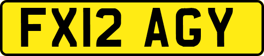FX12AGY