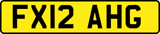 FX12AHG