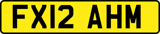 FX12AHM