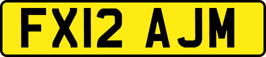 FX12AJM