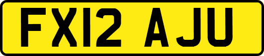 FX12AJU