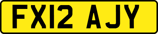 FX12AJY