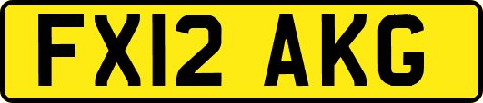 FX12AKG