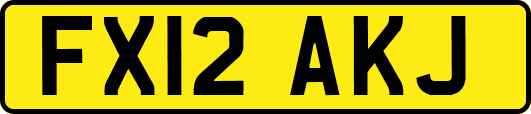 FX12AKJ