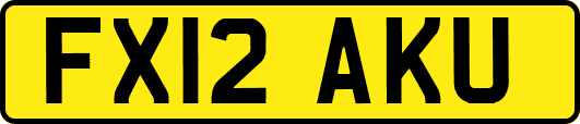 FX12AKU