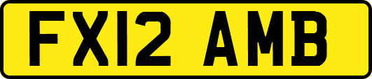 FX12AMB