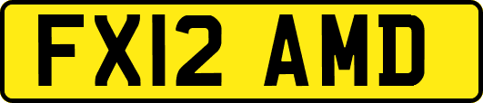 FX12AMD