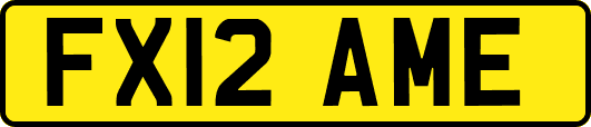 FX12AME