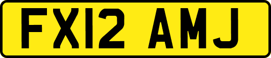 FX12AMJ
