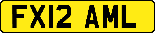 FX12AML
