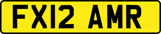 FX12AMR