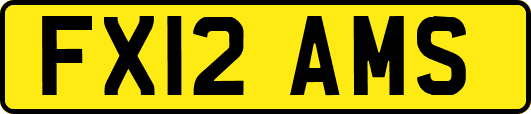 FX12AMS