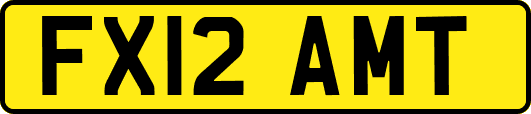 FX12AMT