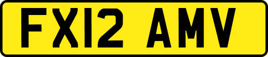 FX12AMV