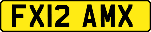 FX12AMX