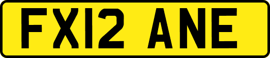 FX12ANE