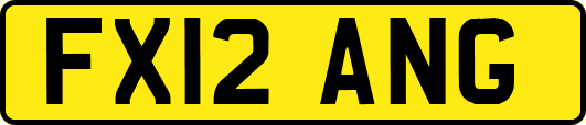 FX12ANG